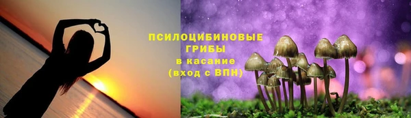 ГАЛЛЮЦИНОГЕННЫЕ ГРИБЫ Арсеньев